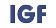 IGF