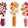 آب میوه گیری صنعتی الوین 